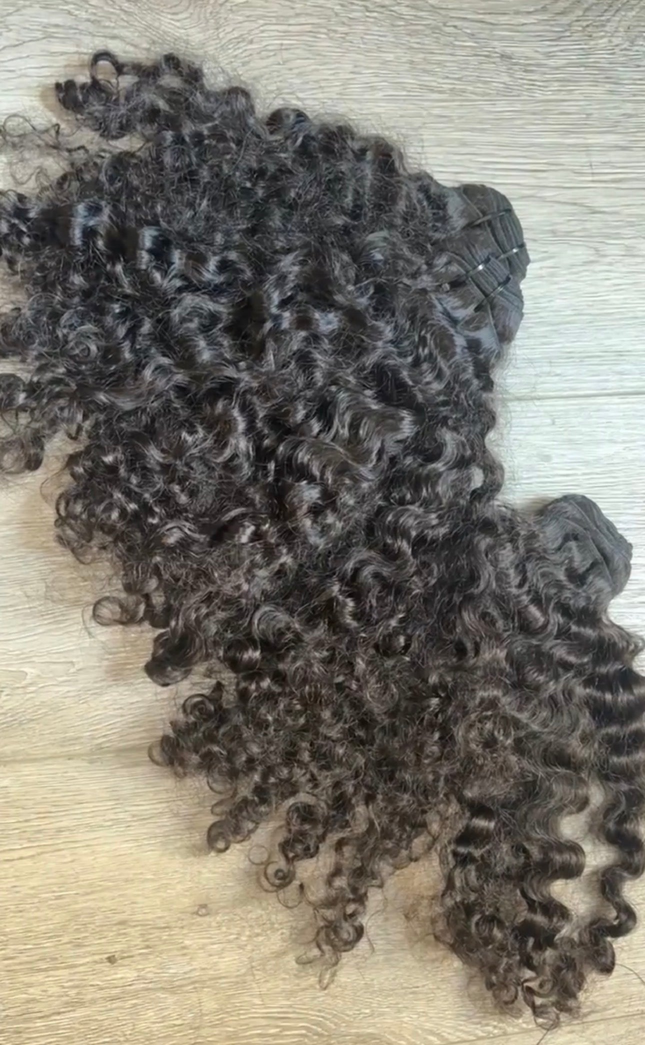 Burmese Curly